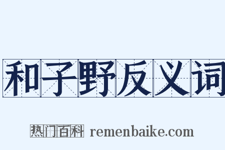 和子野反义词是什么意思的图片